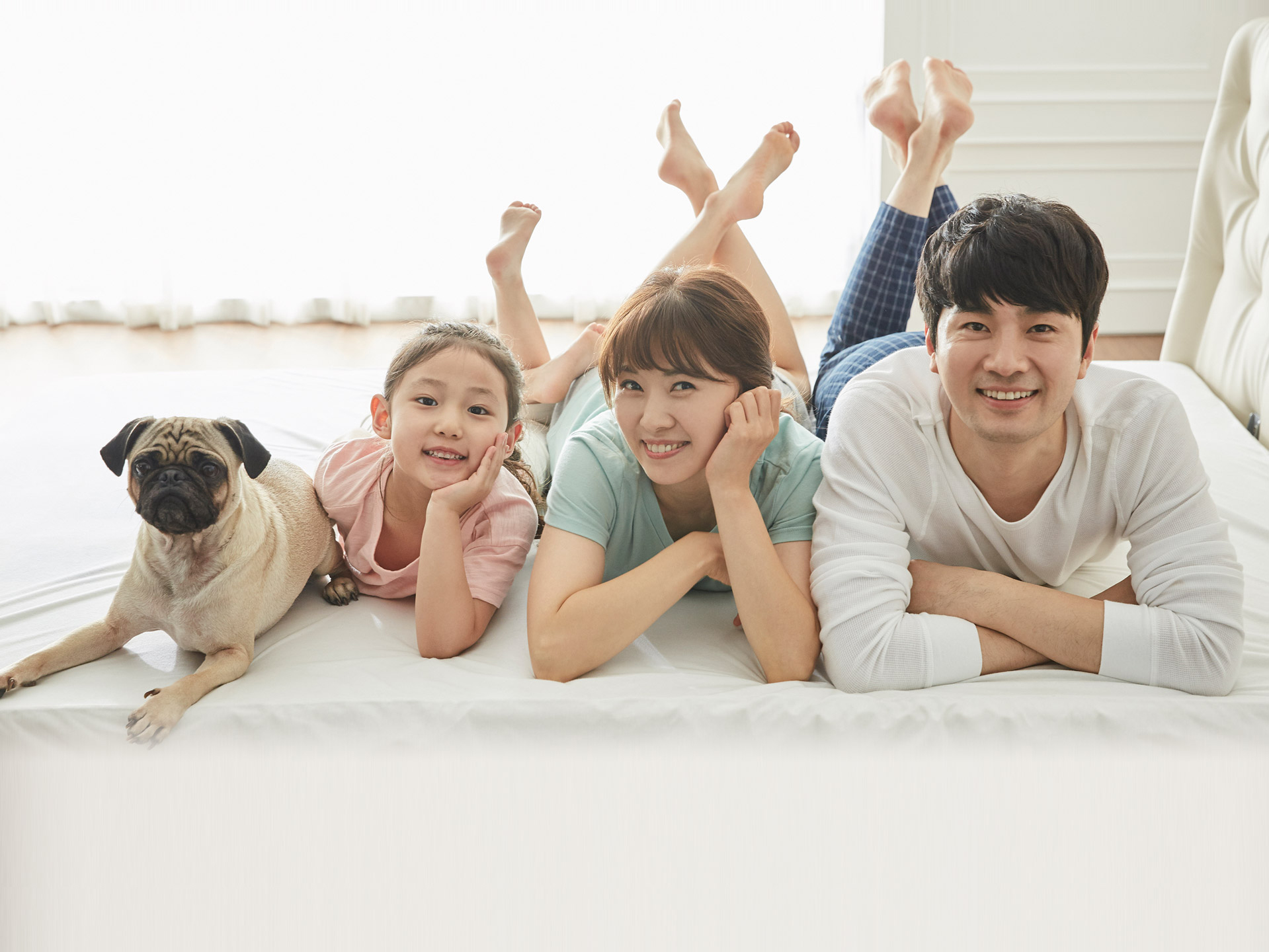 강아지, 여자아이, 엄마, 아빠로 구성된 4가족이 엎드리며 웃는 사진